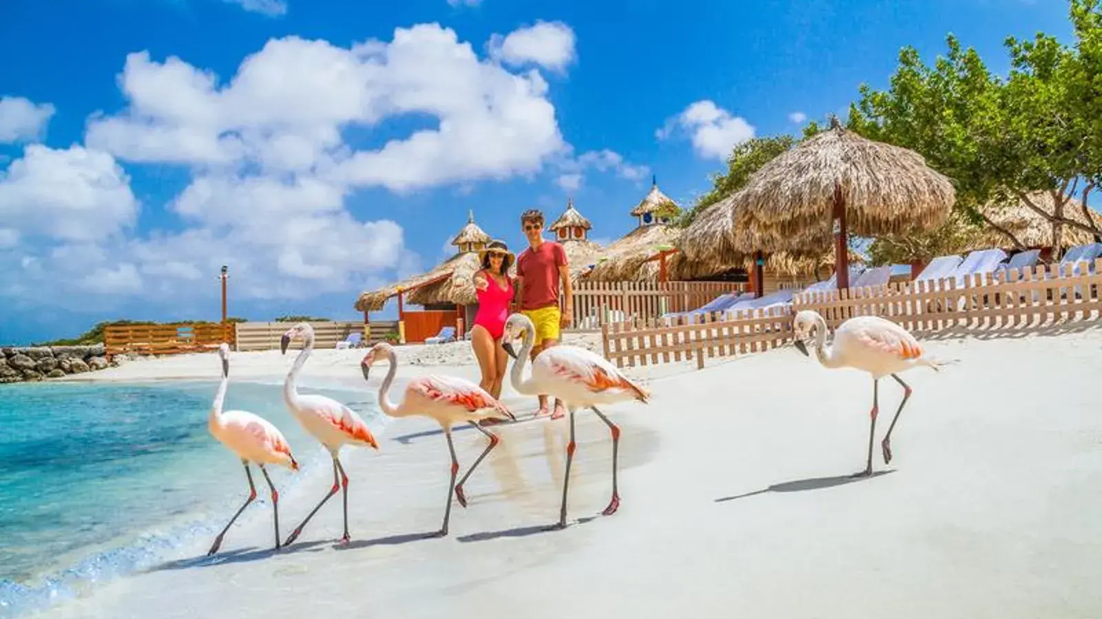 VIAJA CON LAURA, turismo, pasadias, transporte en ibagué, colombia