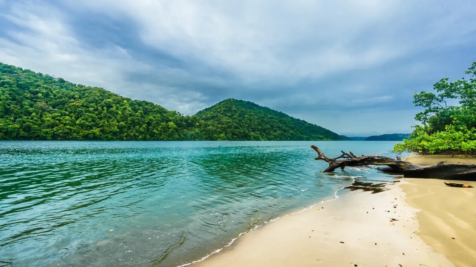 Explora con laura armenia, turismo, pasadias, transporte en ibagué, colombia
