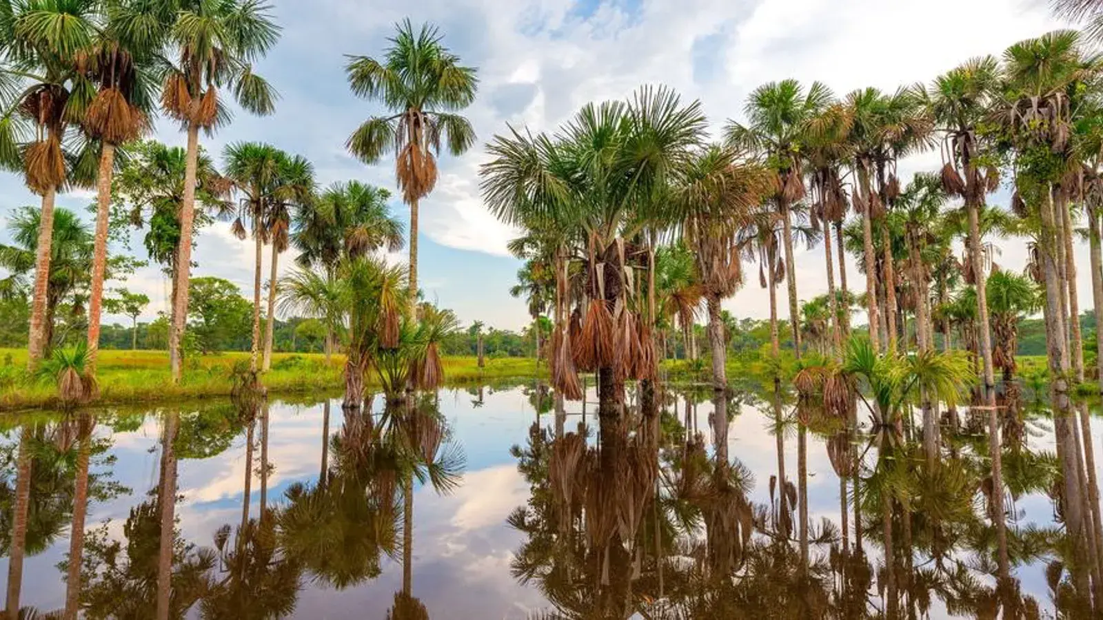 explora con laura, turismo, pasadias, transporte en ibagué, colombia