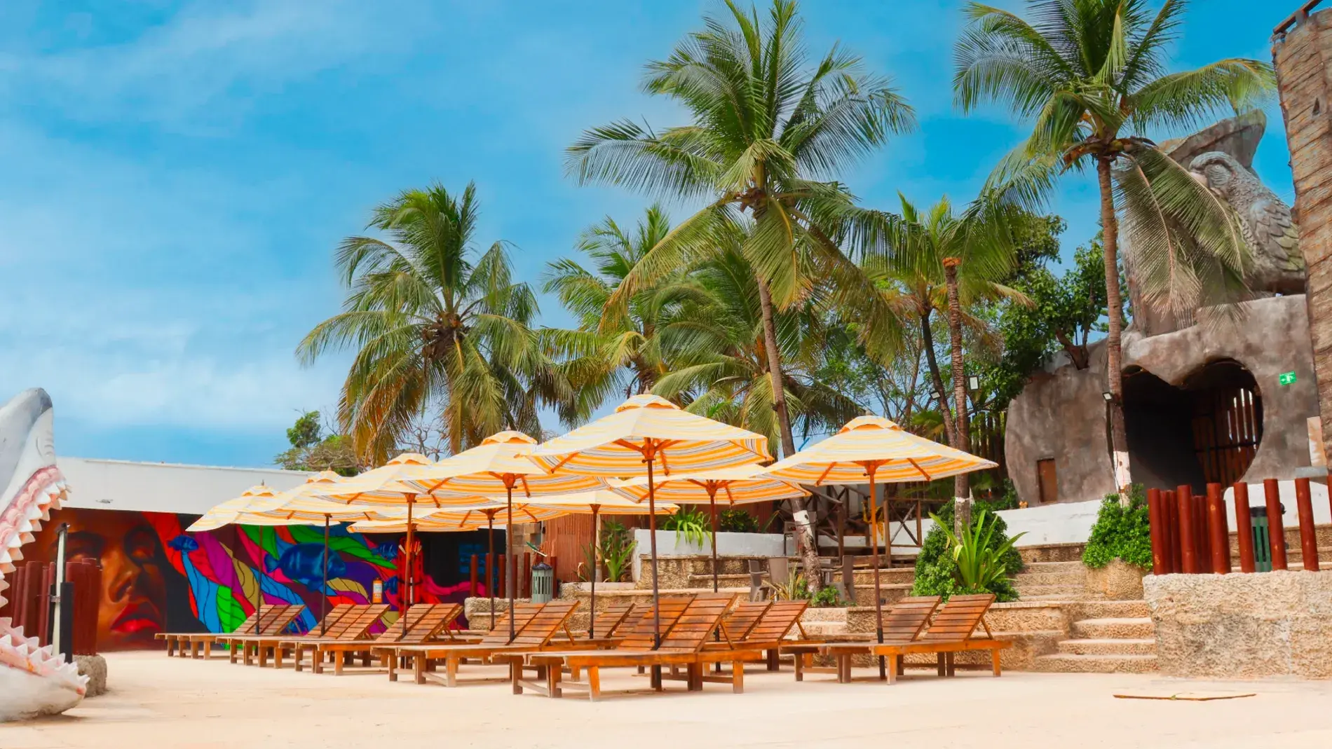 Explora con laura armenia, turismo, pasadias, transporte en ibagué, colombia