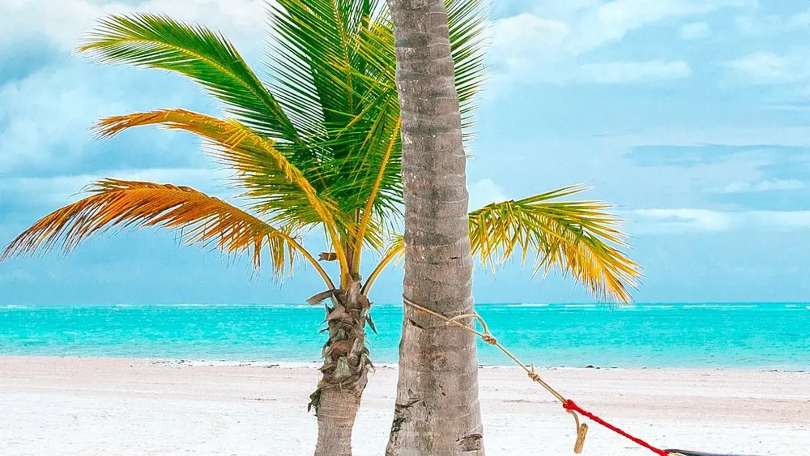 explora con laura, turismo, pasadias, transporte en ibagué, colombia