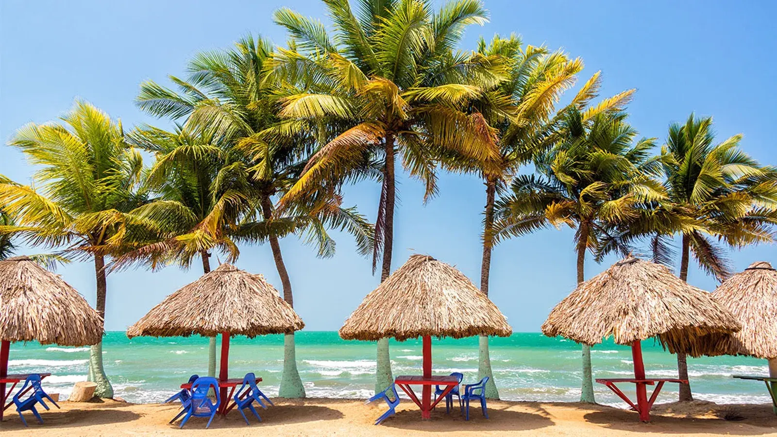 Explora con laura armenia, turismo, pasadias, transporte en ibagué, colombia