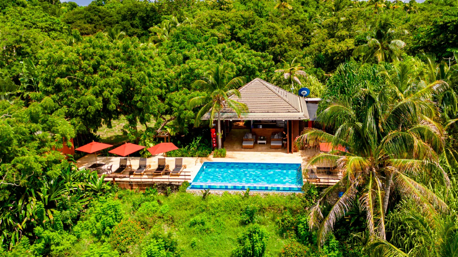 Explora con laura armenia, turismo, pasadias, transporte en ibagué, colombia